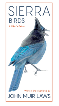 Cover image: Sierra Birds 9781597144872