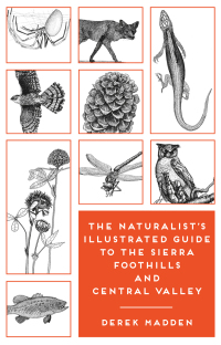 Titelbild: The Naturalist's Illustrated Guide to the Sierra Foothills and Central Valley 9781597144865