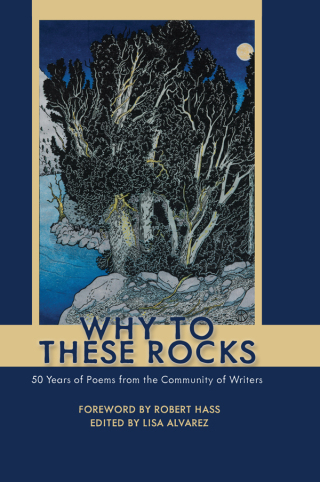 Cover image: Why to These Rocks 1st edition 9781597145299