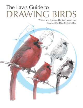 Cover image: The Laws Guide to Drawing Birds 9781597141956