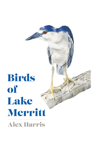 Cover image: Birds of Lake Merritt 9781597145480