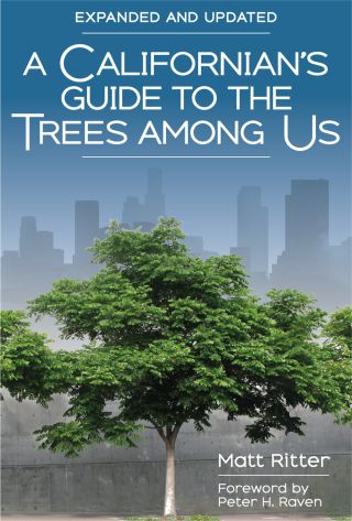 Cover image: A Californian's Guide to the Trees Among Us 9781597145602