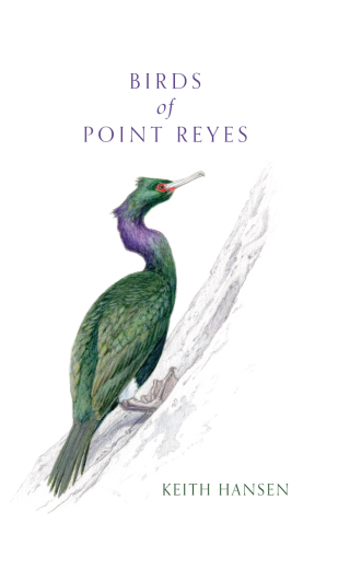 Cover image: Birds of Point Reyes 1st edition 9781597146036