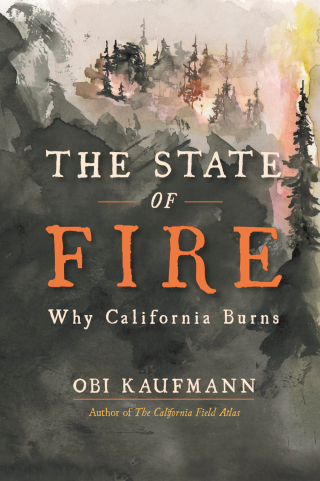 Cover image: The State of Fire 9781597146517