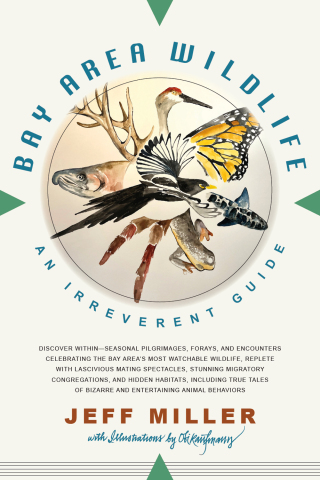 Cover image: Bay Area Wildlife 9781597146630
