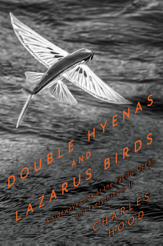 Cover image: Double Hyenas and Lazarus Birds 9781597146661