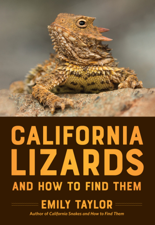 Imagen de portada: California Lizards and How to Find Them 9781597146715