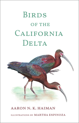 Imagen de portada: Birds of the California Delta 9781597146739