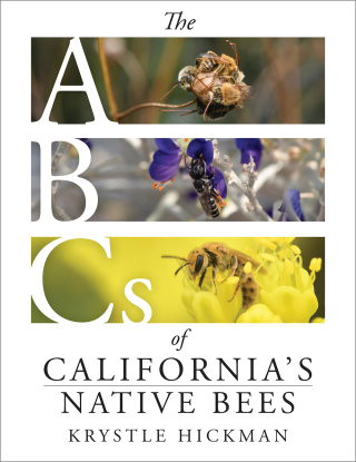 Cover image: The ABCs of California's Native Bees 9781597146814