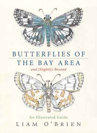 Cover image: Butterflies of the Bay Area and (Slightly) Beyond 9781597146852