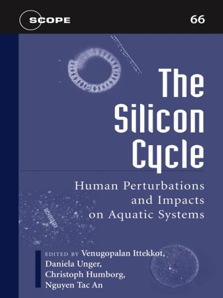 Imagen de portada: The Silicon Cycle 9781597261142