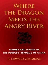 Cover image: Where the Dragon Meets the Angry River 9781610911603
