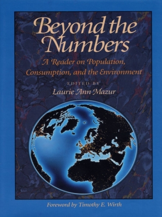 Cover image: Beyond the Numbers 9781559632980