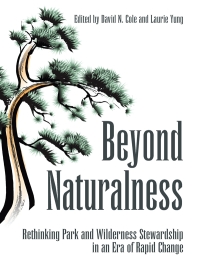 Cover image: Beyond Naturalness 9781597265096