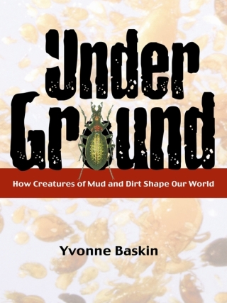 Cover image: Under Ground 9781597260039