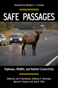 表紙画像: Safe Passages 9781597266543