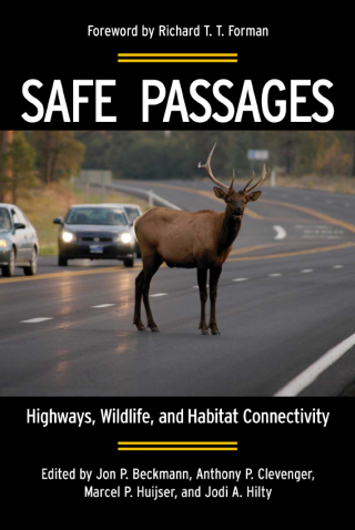 Imagen de portada: Safe Passages 9781597266543