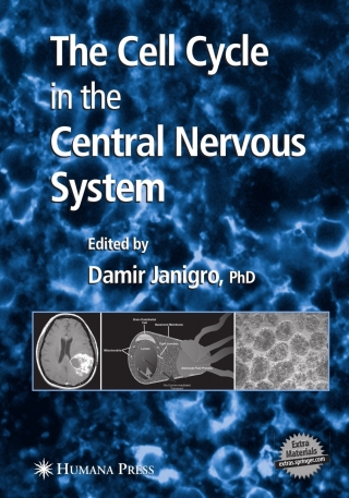 Immagine di copertina: The Cell Cycle in the Central Nervous System 1st edition 9781588295293