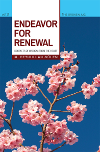 Cover image: Endeavor for Renewal 9781597843348