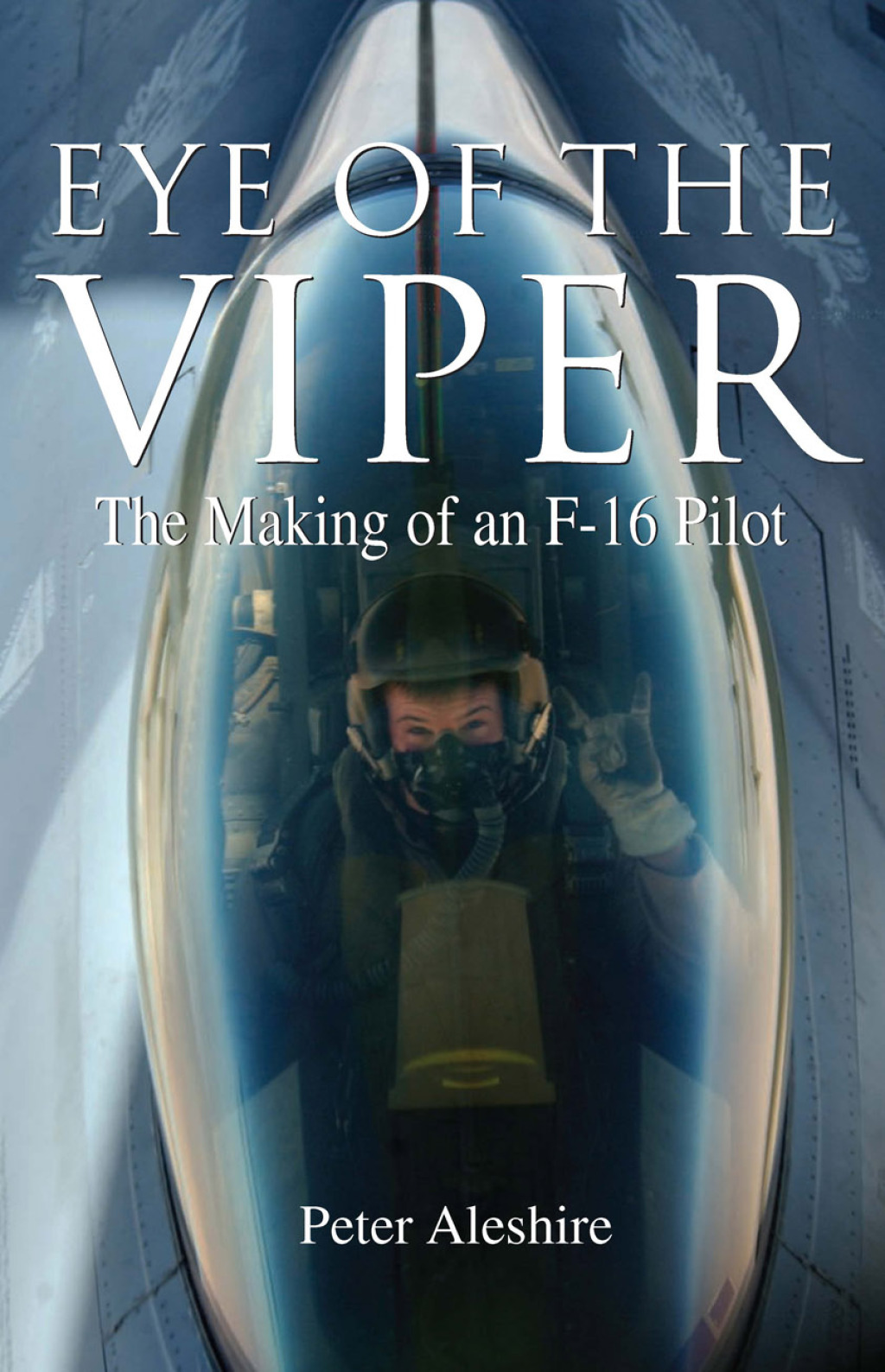 Eye of the Viper The Making of an F-16 Pilot