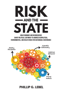 Cover image: Risk and the State 9781599426105