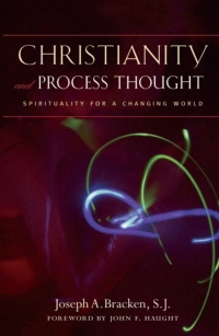 Omslagafbeelding: Christianity and Process Thought 9781932031980