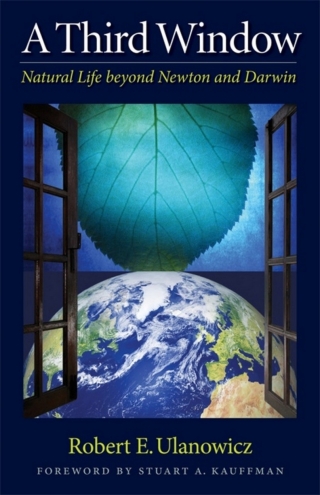 Imagen de portada: A Third Window 9781599471549