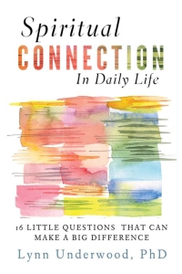 Cover image: Spiritual Connection in Daily Life 9781599474274