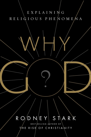 Cover image: Why God? 9781599475530