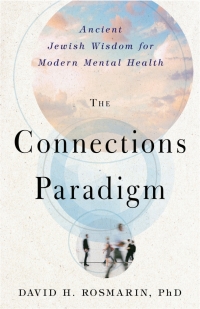 Cover image: The Connections Paradigm 9781599475509