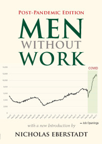 Cover image: Men without Work 9781599475974