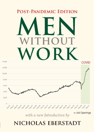 Cover image: Men without Work 9781599475974
