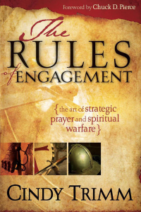 Cover image: Rules Of Engagement 9781599793405