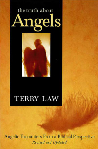 Cover image: The Truth About Angels 9781591859598