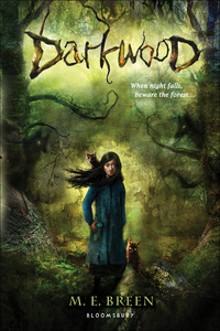 Cover image: Darkwood 1st edition 9781599904825