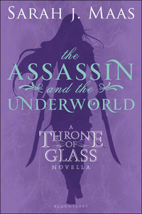 Cover image: The Assassin and the Underworld 1st edition