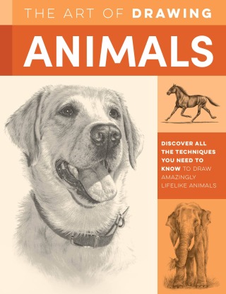 Cover image: Art of Drawing Animals 9781600581304