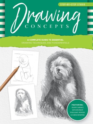 Imagen de portada: Step-by-Step Studio: Drawing Concepts 9781600588983