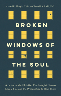 Imagen de portada: Broken Windows of the Soul 9781600662751