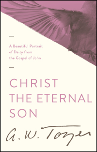 Imagen de portada: Christ the Eternal Son 9781600660474