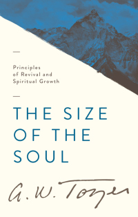 Cover image: The Size of the Soul 9781600661624