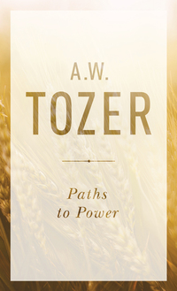 Cover image: Paths to Power: Living in the Spirit's Fullness 9781600660054