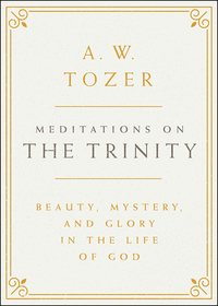 Imagen de portada: Meditations on the Trinity 9781600668036