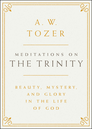 Imagen de portada: Meditations on the Trinity 9781600668036
