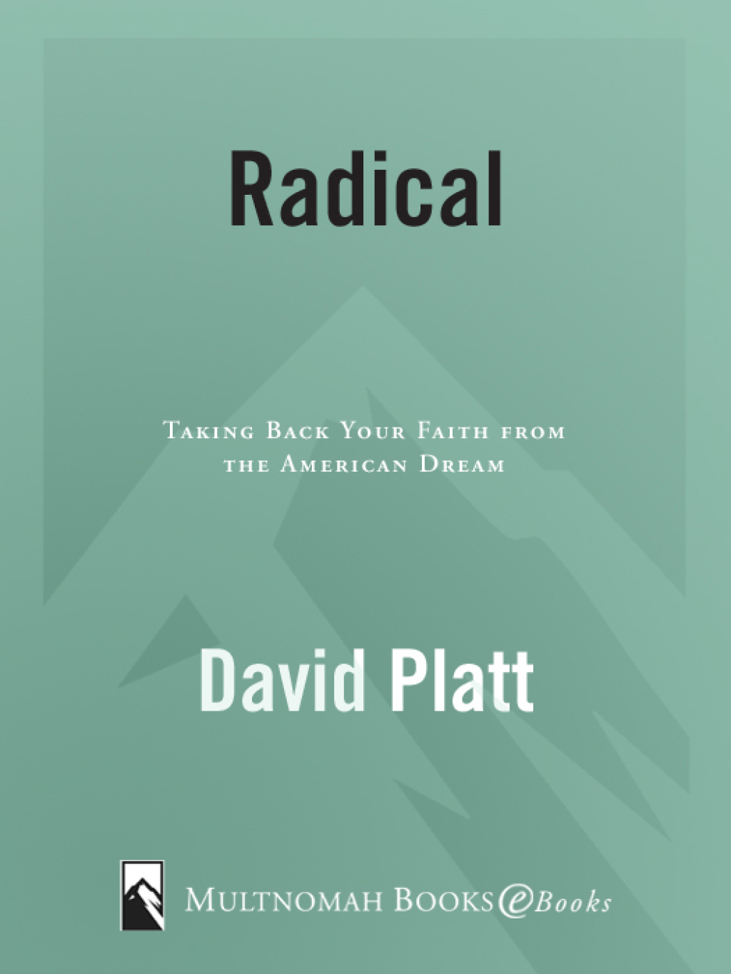 Radical Taking Back Your Faith from the American Dream