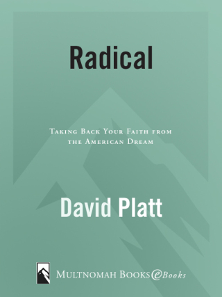 Cover image: Radical 9781601422217
