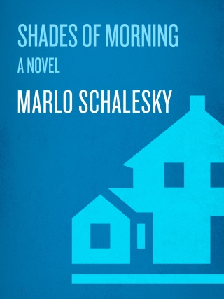 Cover image: Shades of Morning 9781601420251