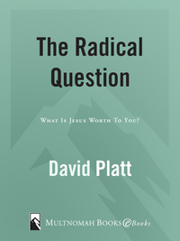 Cover image: The Radical Question 9781601423214