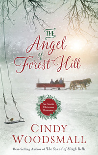 Cover image: The Angel of Forest Hill 9781601427052