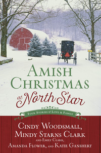 Cover image: Amish Christmas at North Star 9781601428141